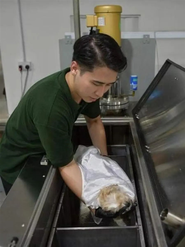 闻起来像蒸蛤蜊!美国流行水葬 碱水“焖煮”遗体化成液体和白骨