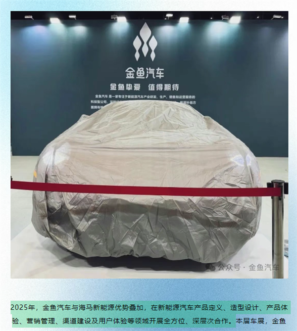 从做老鼠药转行造车 金鱼汽车愣是给我CPU看烧了