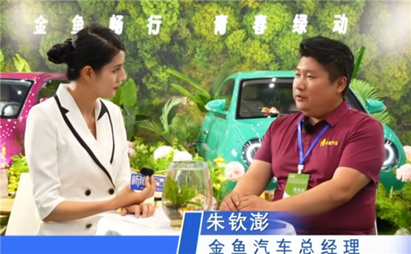从做老鼠药转行造车 金鱼汽车愣是给我CPU看烧了