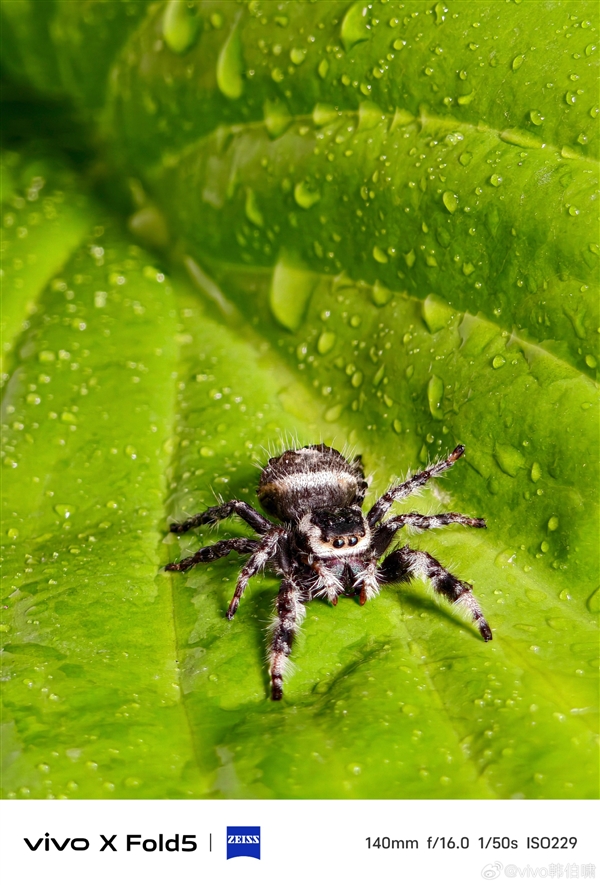大折叠也有顶级影像！vivo X Fold5长焦样张首秀：望远、微距不输直板旗舰