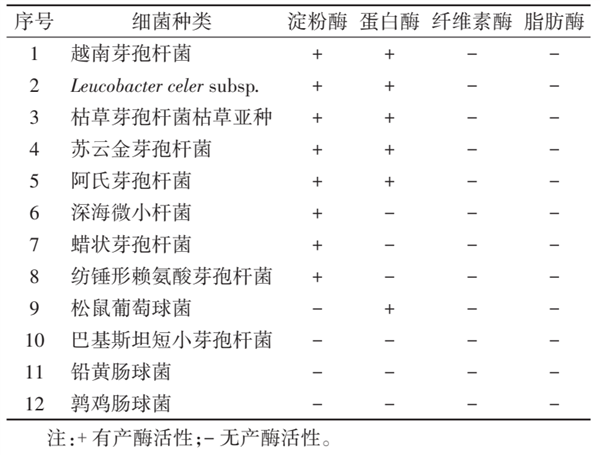 这种虫子 看到1只 你家里就有了1万只——不是蟑螂