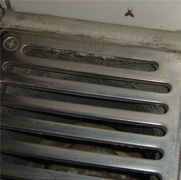 这种虫子 看到1只 你家里就有了1万只——不是蟑螂