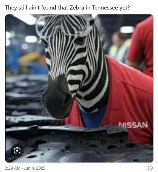 上天了:美国宠物斑马大逃亡 自由一周被飞机吊回家