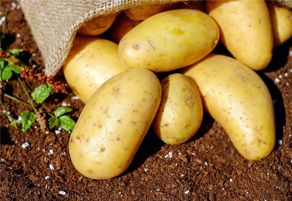 7件你不该放进冰箱冷冻区的食物!有些可能会爆炸!