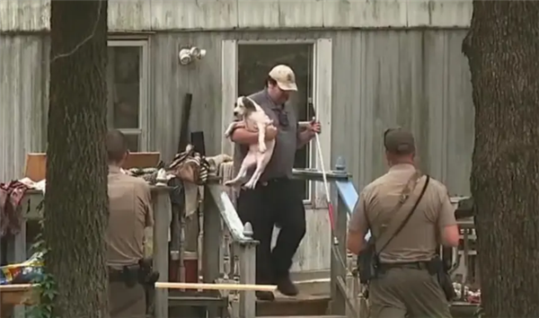 美国女孩喂流浪犬遭40只狗围咬致死：14只被实施安乐死