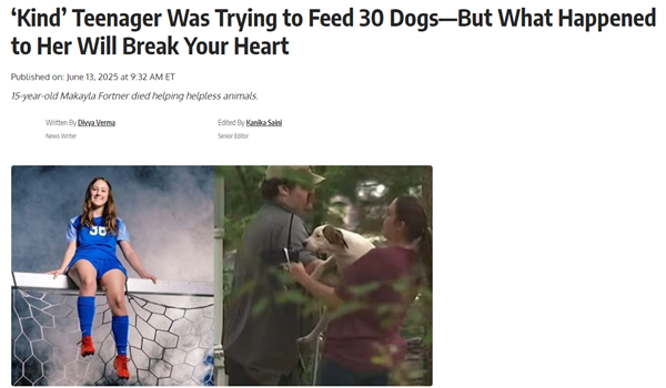 美国女孩喂流浪犬遭40只狗围咬致死：14只被实施安乐死