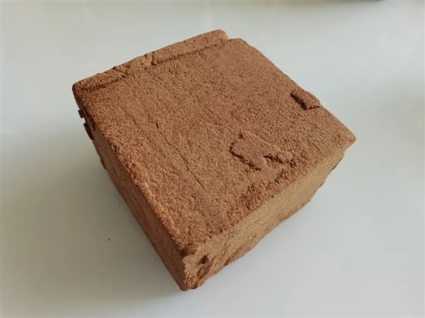 山西这种被误解的“土”：不仅能吃 还很补维生素C！