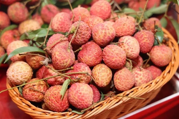 荔枝大丰收!10种热门荔枝口感大PK 一次说清