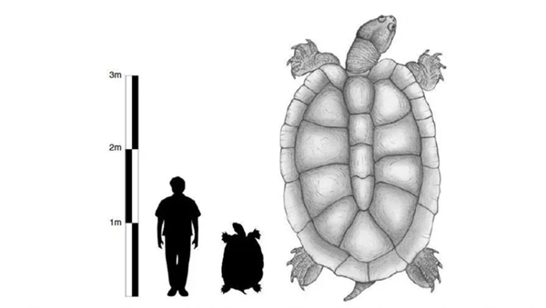 地球最大规模的“矿物质迁徙” 拯救了亚马逊雨林