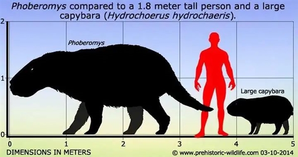 地球最大规模的“矿物质迁徙” 拯救了亚马逊雨林