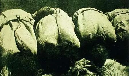 直接躺下更方便 为什么人要枕头才能更好的睡觉?