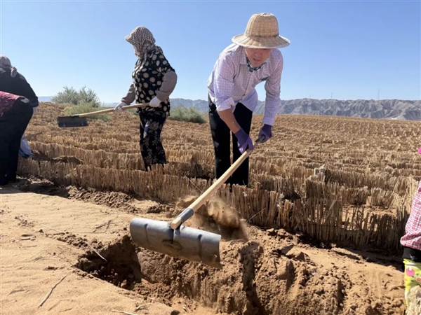 奇迹！宁夏成功完成腾格里沙漠锁边：中国第四大沙漠