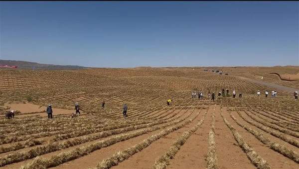 奇迹！宁夏成功完成腾格里沙漠锁边：中国第四大沙漠