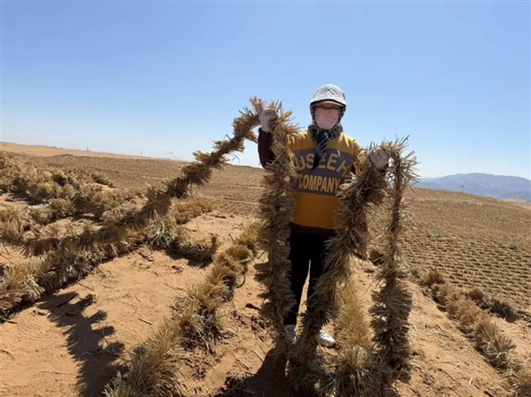 奇迹！宁夏成功完成腾格里沙漠锁边：中国第四大沙漠