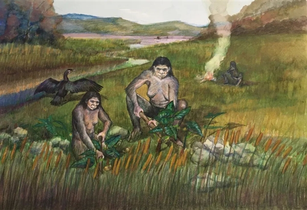 距今最久36万年!云南出土东亚最早木器 揭秘古人生存之道