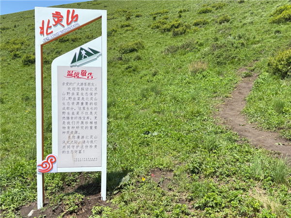 数千人涌入割韭菜：北京的这座山被“薅秃了”