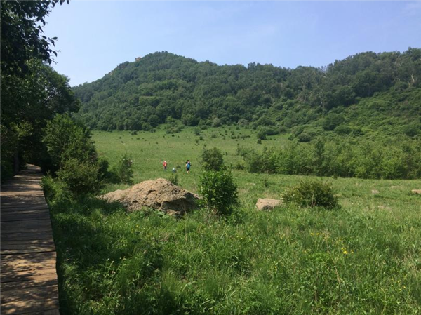 数千人涌入割韭菜：北京的这座山被“薅秃了”