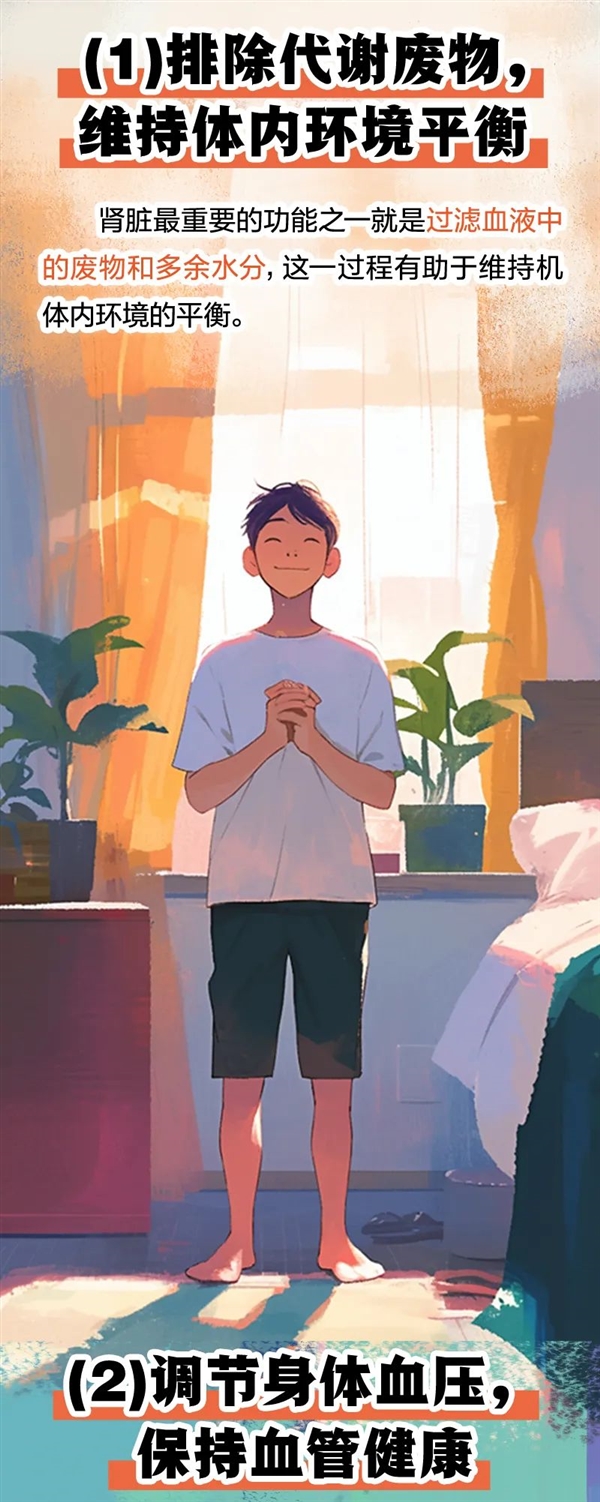 透支的肾是补不回来的！5个伤肾行为很多人都在做