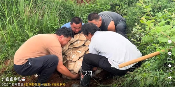 云南现80公斤巨无霸“菌王”：4名壮汉才能搬得动