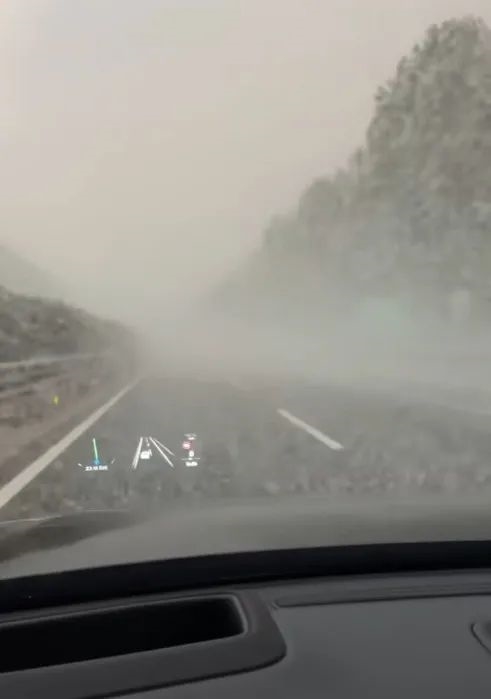 你的车可能真会被防虫网闷死!