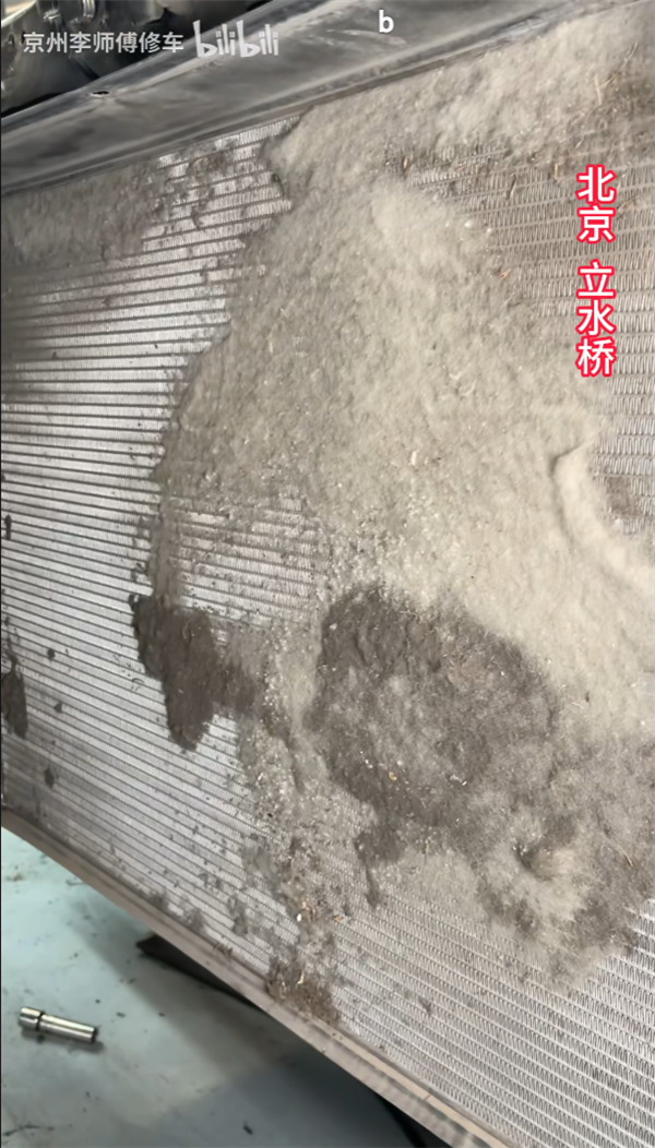 你的车可能真会被防虫网闷死!