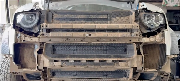 你的车可能真会被防虫网闷死!