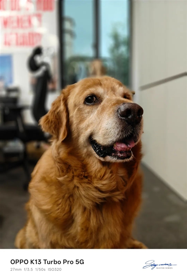 不到2000元带风扇还防水的手机 会让你上分更快吗