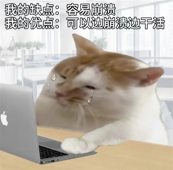 Win 11升级这个劫:我是非渡不可吗