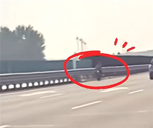 脊背发凉：女子骑电动自行车上高速 在最左侧车道逆行