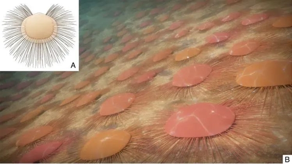 4.36亿年前的远古生物 用刚毛保持“社交距离”