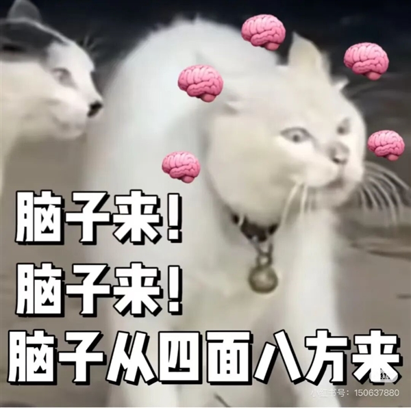 多吃鱼吧!“长脑子”最快的5个小妙招:有些0成本