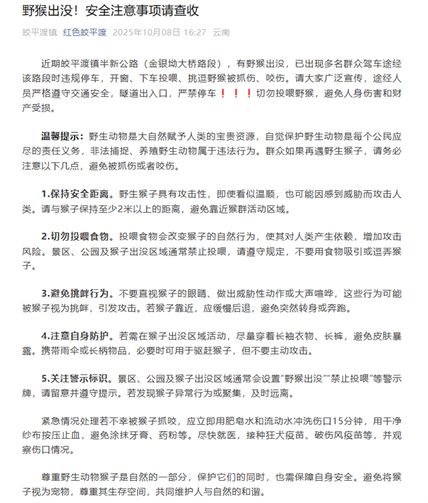 男子路边停车休息遭野猴入车袭击:被动物抓伤需做好“三防”