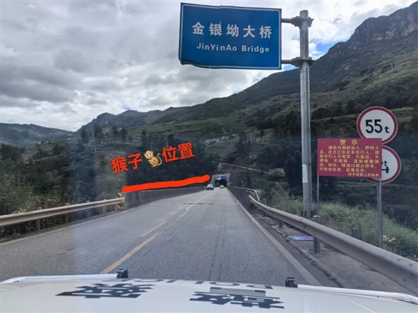 男子路边停车休息遭野猴入车袭击:被动物抓伤需做好“三防”