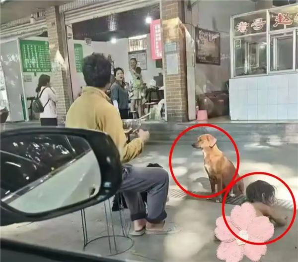 四肢着地、像动物一样爬行奔跑！怪异运动成健身新潮流