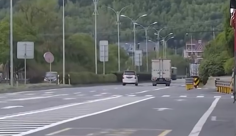 货车撞死狗后二次事故致老人丧命：司机被判次要责任