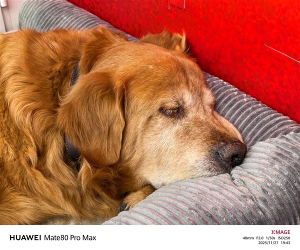 用了几天华为Mate80 Pro Max 我感觉它堆料有点过猛了